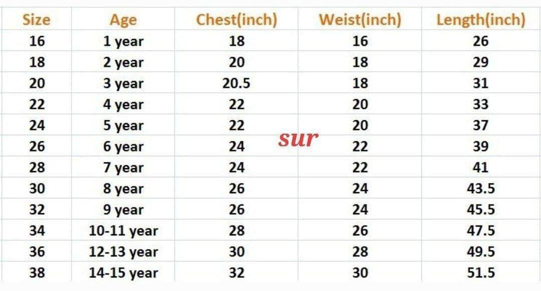 Girls Silk Embroidered Lehanga Choli Set