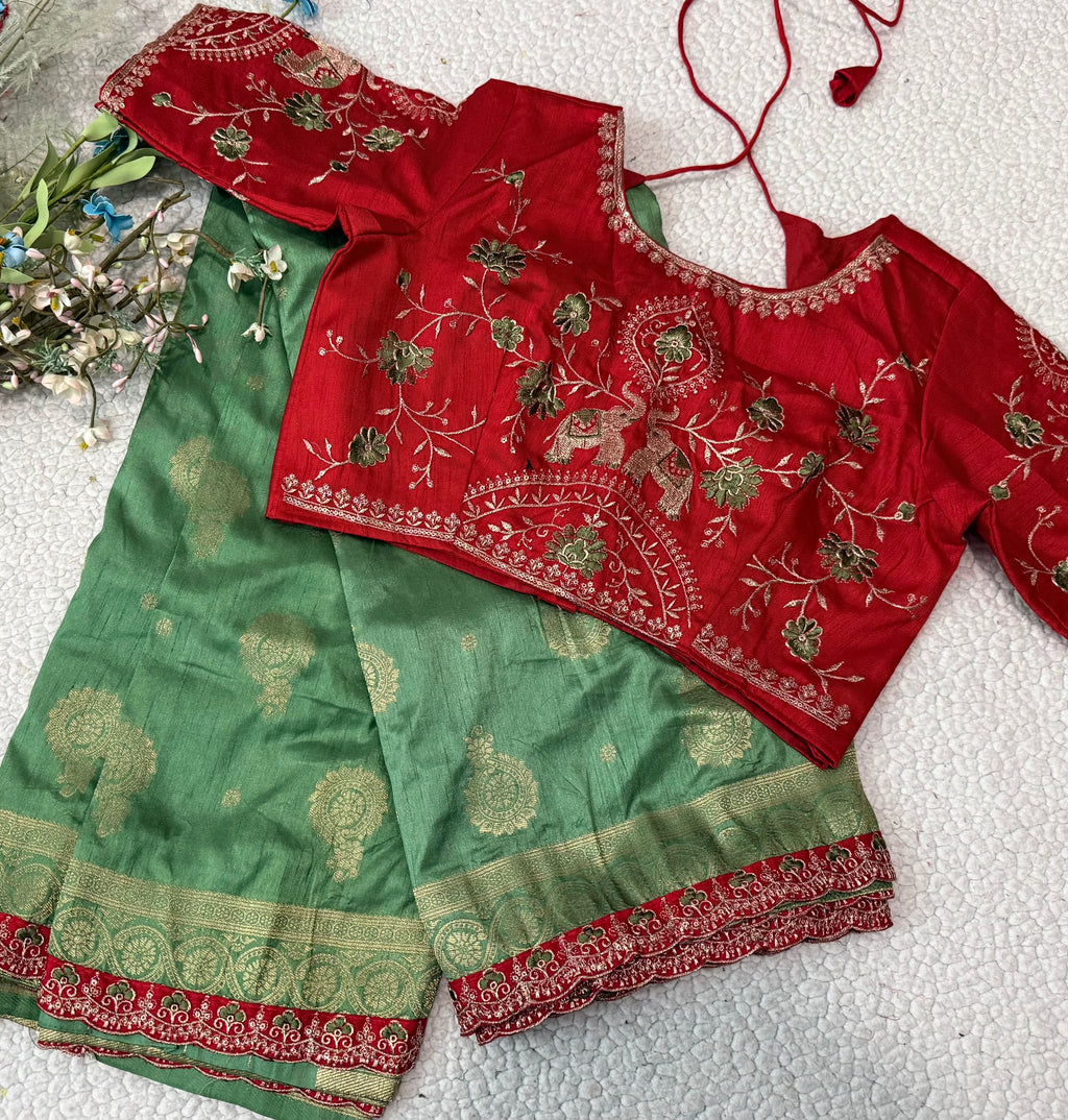 Green Dola Silk Saree with Embroidered Stitched Blouse
